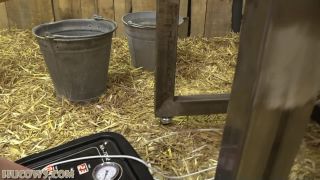 Cobie - bondage, breast training machine, gag, chastity belt (Full HD)-7