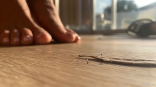 ﻿WorldUnseenFilms - Micro Maniacs (Fetish porn)-4