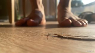 ﻿WorldUnseenFilms - Micro Maniacs (Fetish porn)-5