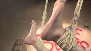 Jay Wimp, Daisy Ducati, Lotus Lain, Chanell Heart Three The Hard Way (Strap On)-2