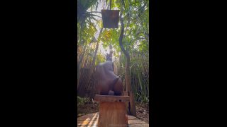 queen tahshaar qt052-6