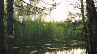 [K2S.CLUB] TheLazyCouple - Hungry stepsister greedily sucks my cock in the campground - FullHD 1080P-9