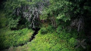 online porn video 46 Elena Koshka and Tyler Nixon – Wolf Mountain on blowjob porn big tits threesome-1