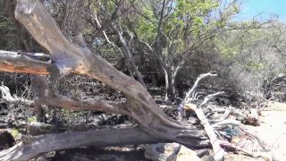 Adult Entertainment Insights for Smart Fans-3