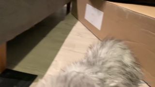 Isla D - onlyisla () Onlyisla - something a little different since so many of you asked for yuri updates watch and learn 12-06-2020-9