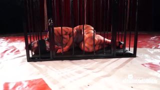 Der SM-Zirkus & Der SM-Drill Sex Online Porn FullHD-1