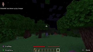 Minecraft 18  Minecraft Moments-1