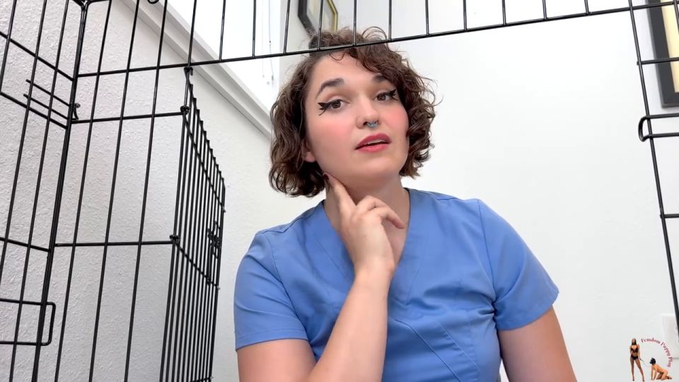 Femdom Puppy Play Trans Natalie Carnot Gets The Boy Ready To Be Neutered (Shemale porn)