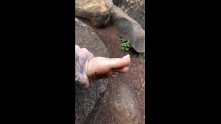 clip 47 jynx maze foot fetish feet porn | Bowdown2Chelsea 29-09-2019 You Don T Even Like Feet But You | webcams-4