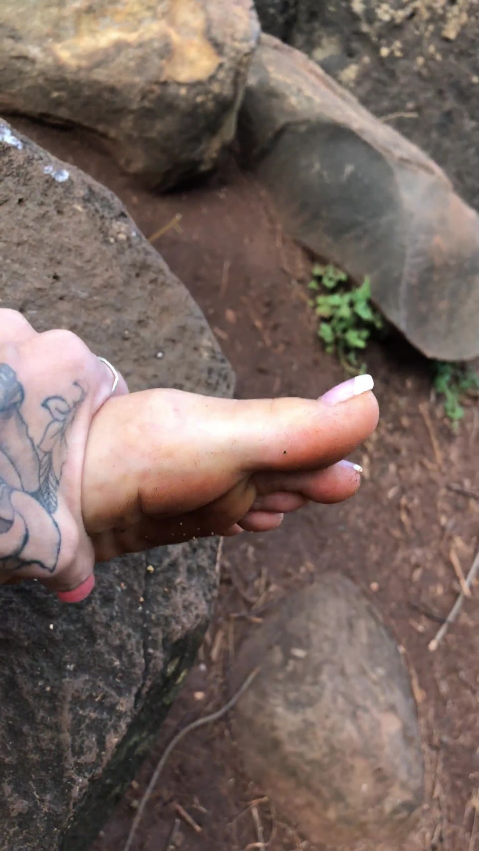 clip 47 jynx maze foot fetish feet porn | Bowdown2Chelsea 29-09-2019 You Don T Even Like Feet But You | webcams