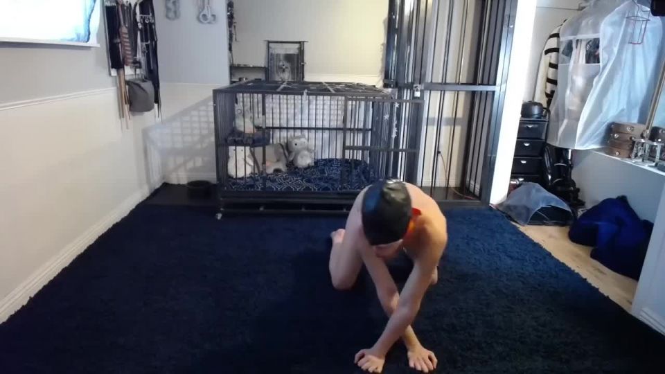 online xxx video 35 Bondage Life – Evening Pussy Pain Rachel Greyhound | bondage life | femdom porn bdsm transformation