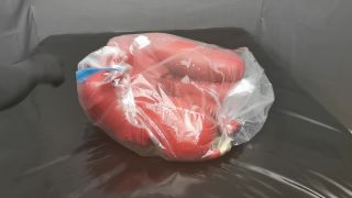 vicky d pbFun in a vaccum bag-9