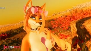 [GetFreeDays.com] educational program about the mating dance of a furry fox and her first time Adult Stream July 2023-7