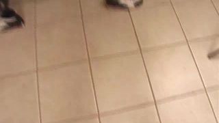 DirtyDirector HERSHEY MHH9 DD FULL 1 (mp4)-9