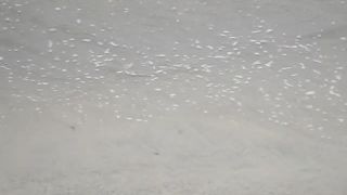 DSCN1849-7