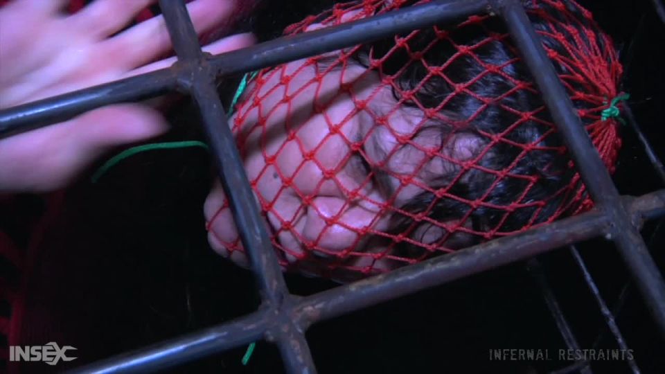 Femcar - BDSM, Bondage, Dildo, Vibrator, Ring Gag, Cage, ...