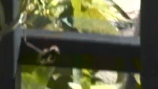 online porn video 1 Redhead Lesbian in Wild All Girl 3some | big tits | fetish porn big tits hits-1