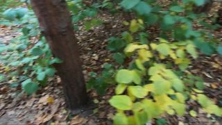 ebony amateur amateur porn | Walking around City Park with Stepsister and Making Public Sex in Forest [FullHD 1080p] | home amateur video-9