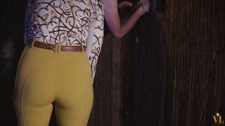 The sanctioning of the stable slave -  leather-3