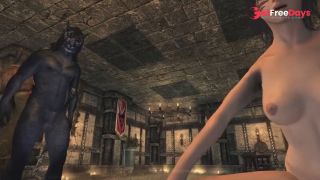 Foxsys Skyrim Adventures 2  P1-4