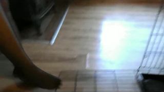 Porn tube Turkish Mistress Big Foot Domination - [Feet porn]-5