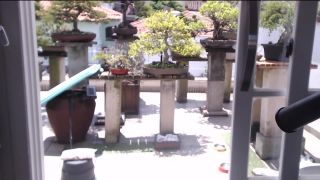 Online Tube Shemale Webcams Video for October 14, 2019 - shemales-5