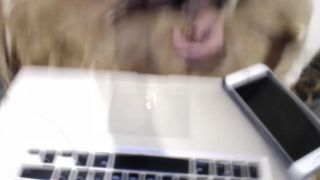 online clip 8 Shemale Webcams Video for June 17, 2019 – 14,  on webcam -7