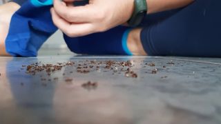 online video 39 Giantess Hajar - Ants Crush By Hajar - femdom pov - fetish porn superheroine fetish-1