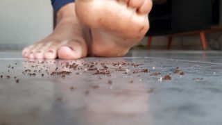 online video 39 Giantess Hajar - Ants Crush By Hajar - femdom pov - fetish porn superheroine fetish-8