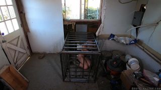 Bound Blonde Babe Gets Machine-Fucked In The Basement Sex...-9