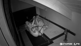 Rachel Greyhound The Ring Predicament Download New Porn V...-3