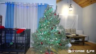 porn clip 14 fetish network fetish porn | Bondage Life – Christmas With Greyhound | bondage life-8