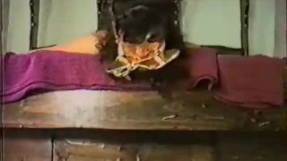 TH-16 Mouthwatering Gags / (Kristine Imboch, Harmony Conc...-9