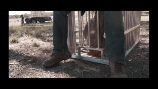 xxx video clip 44 Fancy Steel – The Farm 4 - chastity - femdom porn gay fetish porn-2