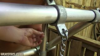 free online video 24 Little Caprice pumped hard [Full HD 704.6 MB] on bdsm porn bdsm drawings-7