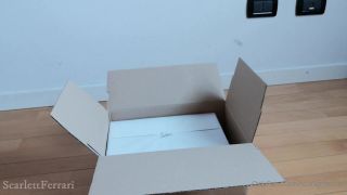 free porn video 42 femdom therapy femdom porn | scarlettferrari 08-05-2020 My first pair of Louboutins – Unboxing | scarlettferrari-1