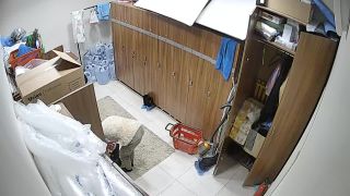 free online video 15  0117 personal Персонал main 20180404155250 155610, hidden camera on webcam-5