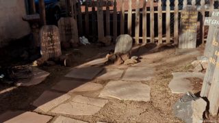 asianastarr 2024-05-15 Day Trip to Bearizona for Martin s Birthday VLOG April 2024   zfzmd8-0