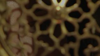 Hot Night Fireworks: Explicit Passionate Sex Scenes Unleashe-7