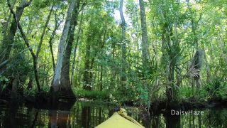 clip 19 Daisy Haze – Great Bush Adventure, nylon fetish sex on fetish porn -8
