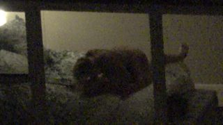 stacked-girl-fuckin-decent-window-zoom-at-full-block-4