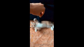 adult video clip 2 duke hardcore xxx hardcore porn | Mira - heyhorny / Onlyfans Heyhorny - cat therapy 22-09-2020 - Fetish | hardcore-8