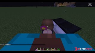 [GetFreeDays.com] Ellie or Jenny Minecraft Jenny Mod Adult Leak January 2023-4