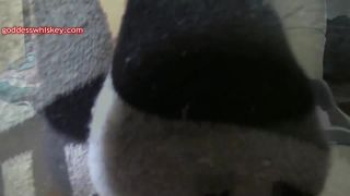 free adult clip 34 Goddess Whiskey - Claires Post Workout Socks and Barefeet Cock Tease, dirty feet fetish on lesbian girls -6