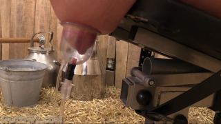 adult video 25 HuCows – Cindy Dollar – teat training - bdsm - femdom porn food fetish porn-7