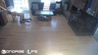 free adult video 24 bdsm teen sex BondageLife – Scrub ‘n Store Rachel Greyhound, bondagelife on bdsm porn-1