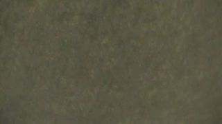 A.A.A. Cercasi Segretaria Porca 6.-3