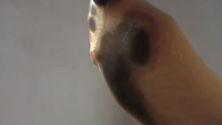 online xxx video 40 Dirty Socks | female | lesbian girls kelli staxxx femdom-1