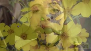 clip 17 Star Light Sissy – Brainwash|Hypno, Hypnosis on femdom porn alien femdom-8