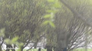 adult clip 43 Jeny Smith – Date Attack - bubble butt - public femdom pony slave-0